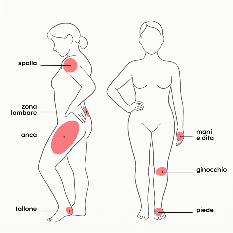 Body diagram